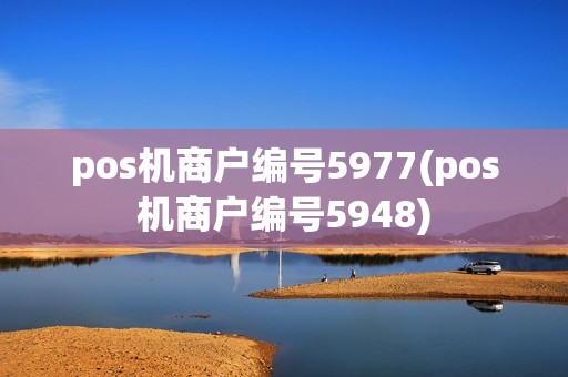 pos机商户编号5977(pos机商户编号5948)