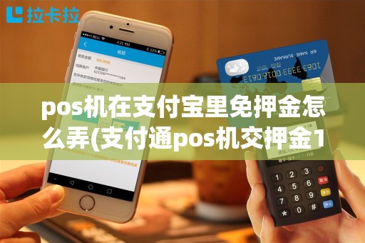 pos机在支付宝里免押金怎么弄(支付通pos机交押金1500)