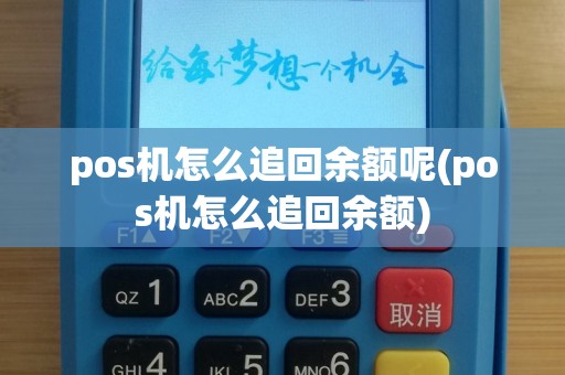 pos机怎么追回余额呢(pos机怎么追回余额)