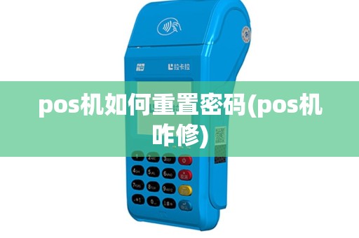 pos机如何重置密码(pos机咋修)
