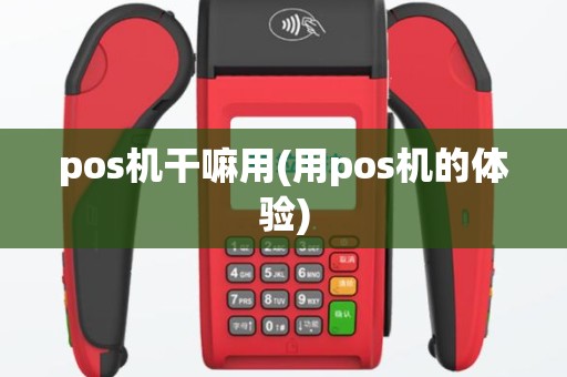 pos机干嘛用(用pos机的体验)