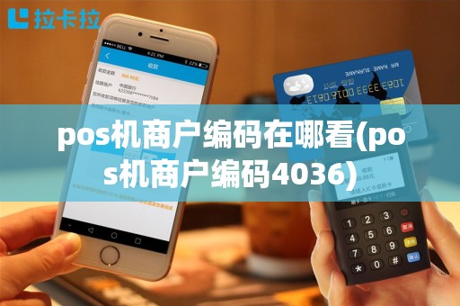 pos机商户编码在哪看(pos机商户编码4036)