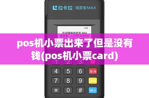 pos机小票出来了但是没有钱(pos机小票card)