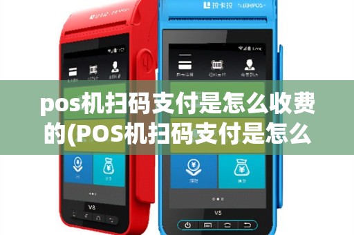 pos机扫码支付是怎么收费的(POS机扫码支付是怎么)