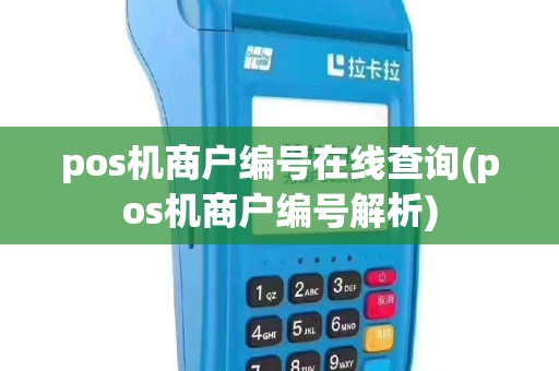 pos机商户编号在线查询(pos机商户编号解析)