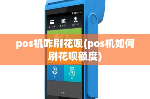 pos机咋刷花呗(pos机如何刷花呗额度)