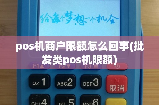 pos机商户限额怎么回事(批发类pos机限额)