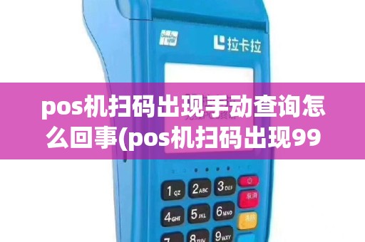 pos机扫码出现手动查询怎么回事(pos机扫码出现9984)