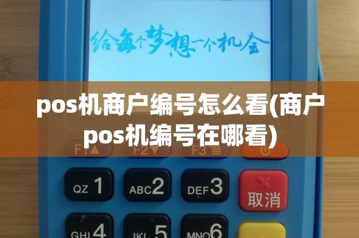 pos机商户编号怎么看(商户pos机编号在哪看)