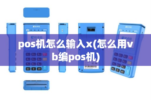 pos机怎么输入x(怎么用vb编pos机)