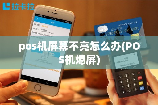 pos机屏幕不亮怎么办(POS机熄屏)