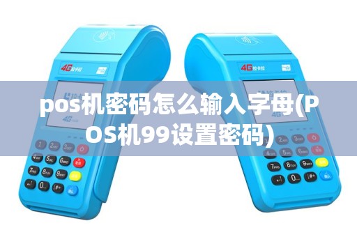 pos机密码怎么输入字母(POS机99设置密码)