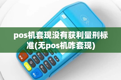 pos机套现没有获利量刑标准(无pos机咋套现)