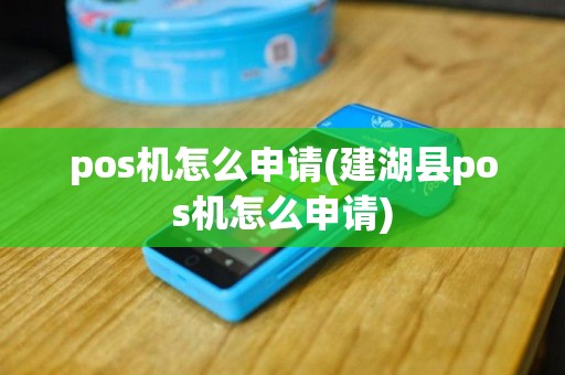 pos机怎么申请(建湖县pos机怎么申请)