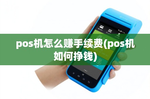 pos机怎么赚手续费(pos机如何挣钱)