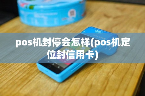 pos机封停会怎样(pos机定位封信用卡)