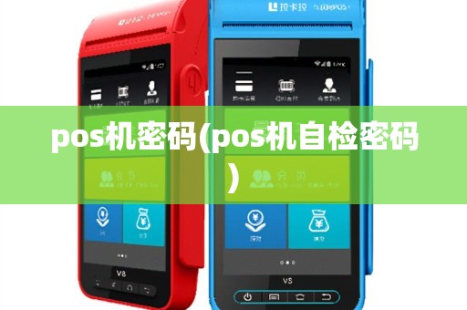 pos机密码(pos机自检密码)