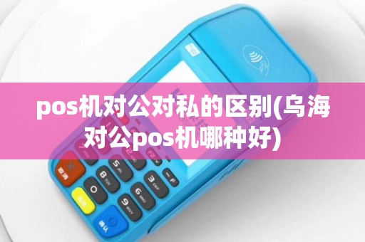 pos机对公对私的区别(乌海对公pos机哪种好)