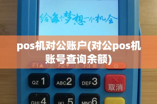 pos机对公账户(对公pos机账号查询余额)