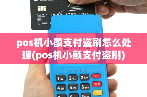 pos机小额支付盗刷怎么处理(pos机小额支付盗刷)