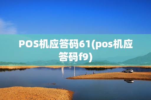 POS机应答码61(pos机应答码f9)