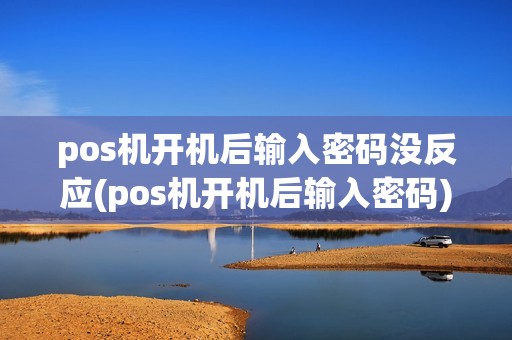 pos机开机后输入密码没反应(pos机开机后输入密码)