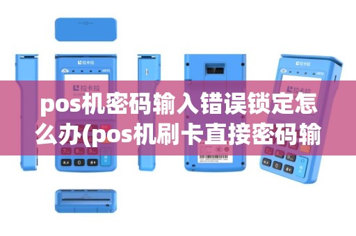 pos机密码输入错误锁定怎么办(pos机刷卡直接密码输入错误)