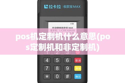 pos机定制机什么意思(pos定制机和非定制机)