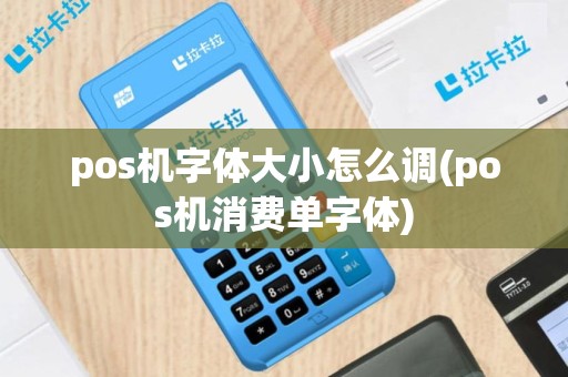 pos机字体大小怎么调(pos机消费单字体)