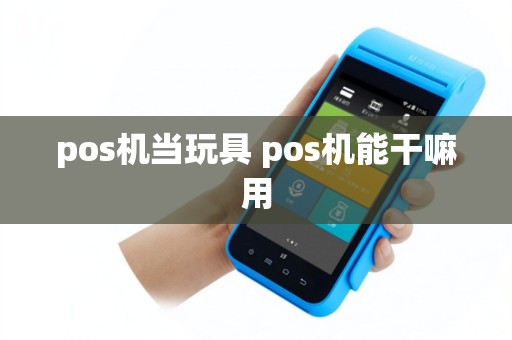pos机当玩具 pos机能干嘛用