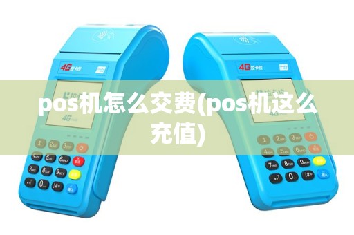 pos机怎么交费(pos机这么充值)