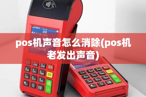 pos机声音怎么消除(pos机老发出声音)