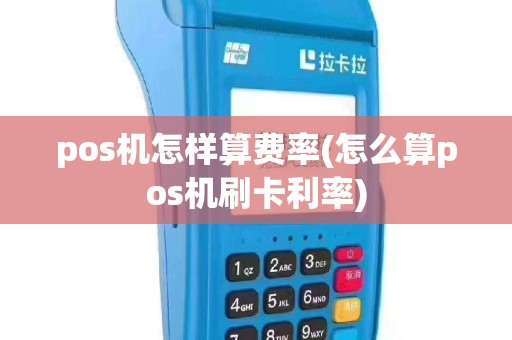 pos机怎样算费率(怎么算pos机刷卡利率)