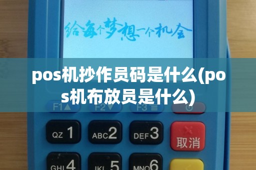 pos机抄作员码是什么(pos机布放员是什么)