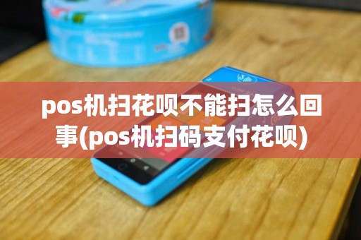 pos机扫花呗不能扫怎么回事(pos机扫码支付花呗)