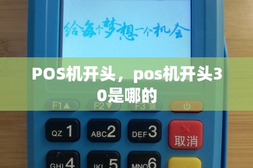 POS机开头，pos机开头30是哪的