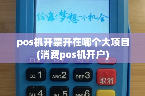 pos机开票开在哪个大项目(消费pos机开户)