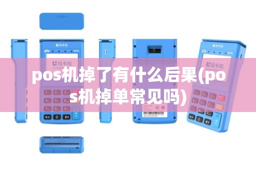 pos机掉了有什么后果(pos机掉单常见吗)
