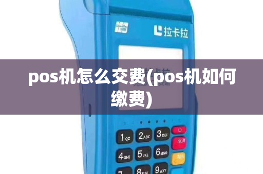 pos机怎么交费(pos机如何缴费)