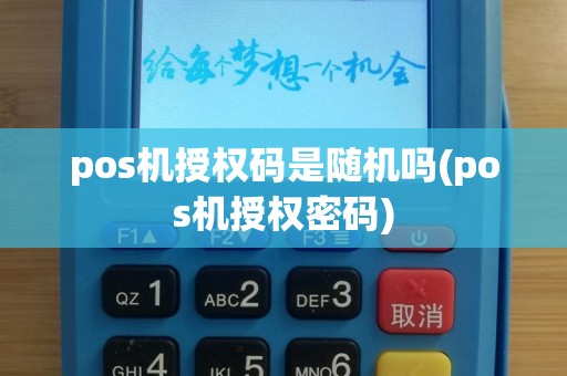 pos机授权码是随机吗(pos机授权密码)