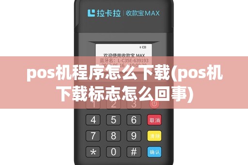 pos机程序怎么下载(pos机下载标志怎么回事)