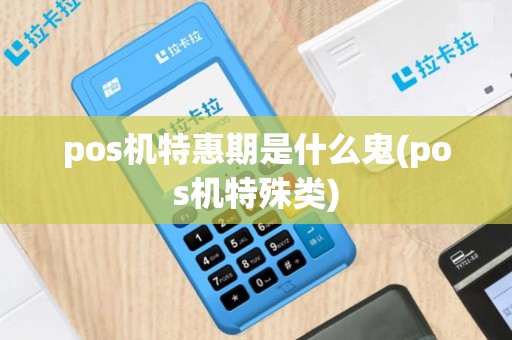 pos机特惠期是什么鬼(pos机特殊类)
