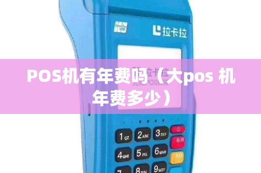 POS机有年费吗（大pos 机年费多少）