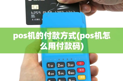 pos机的付款方式(pos机怎么用付款码)