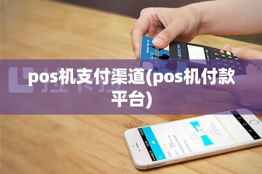 pos机支付渠道(pos机付款平台)