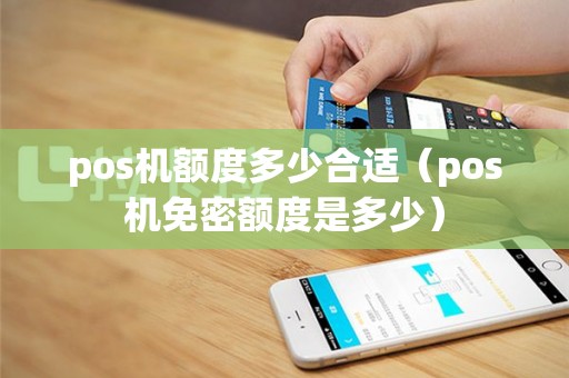 pos机额度多少合适（pos机免密额度是多少）
