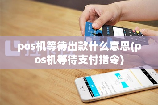 pos机等待出款什么意思(pos机等待支付指令)