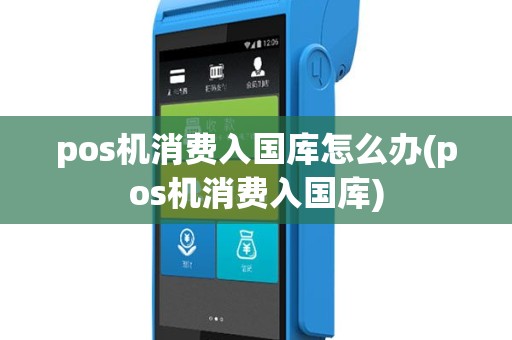 pos机消费入国库怎么办(pos机消费入国库)