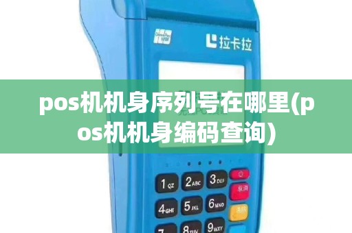 pos机机身序列号在哪里(pos机机身编码查询)