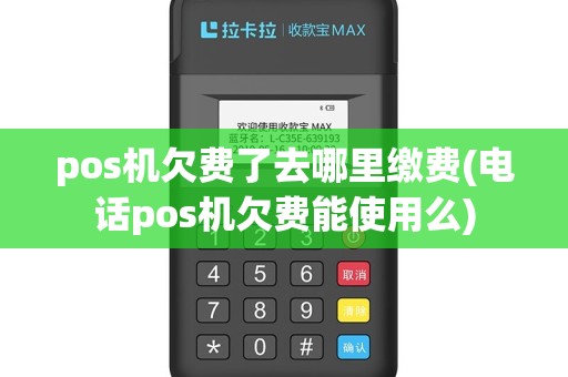 pos机欠费了去哪里缴费(电话pos机欠费能使用么)